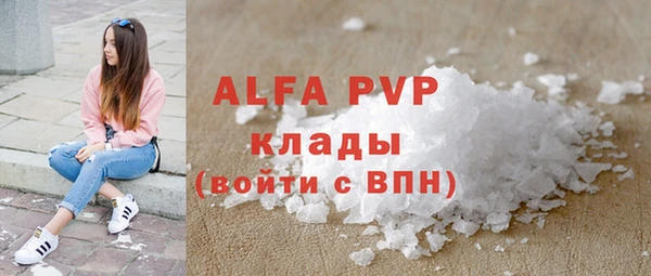 apvp Горняк